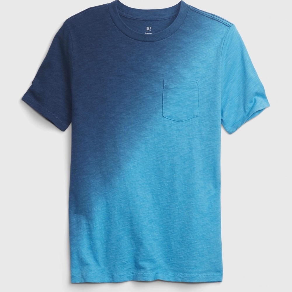 Gap Kids 100% Organic Cotton TShirt Boys Size Small (6/7)